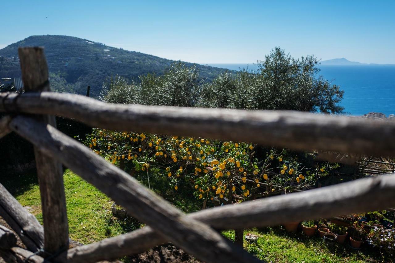 Appartamento Casa Floriana Vico Equense Esterno foto