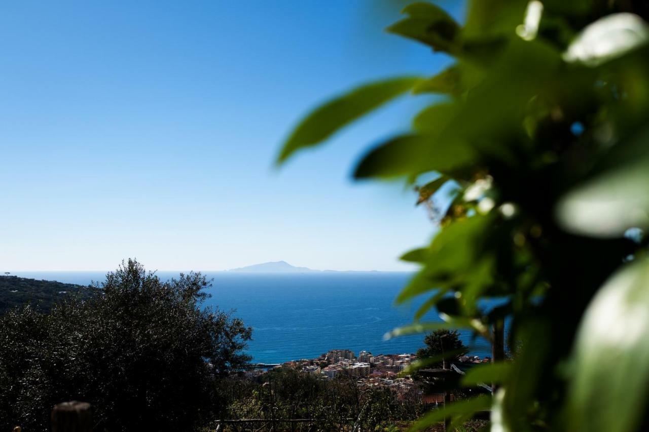 Appartamento Casa Floriana Vico Equense Esterno foto