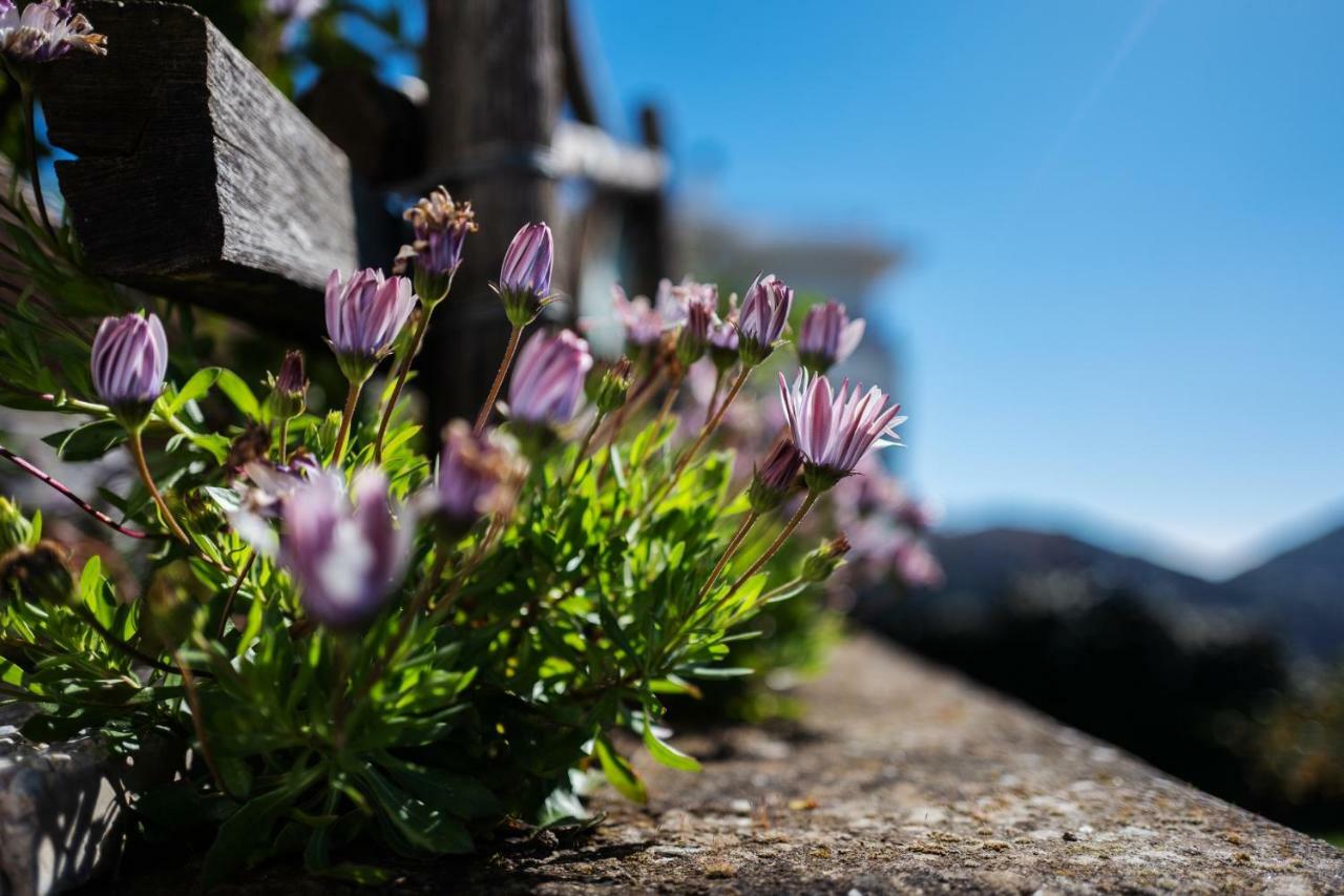 Appartamento Casa Floriana Vico Equense Esterno foto